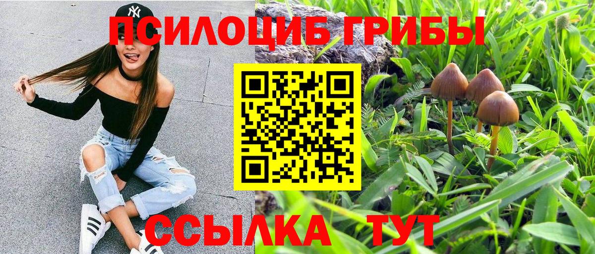 Псилоцибиновые грибы MAGIC MUSHROOMS  Псилоцибиновые грибы MAGIC MUSHROOMS  Ялта  Вход с VPN 